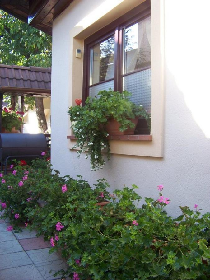 Pensiunea Casa Alba Ghimbav 外观 照片